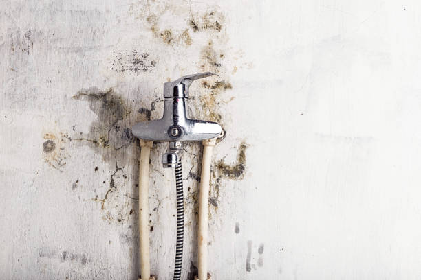 Best Mold Testing  in Oxnard, CA